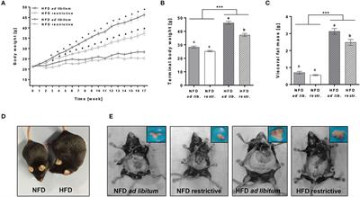 High-Fat Diet and Feeding Regime Impairs Number, Phenotype, and Cytotoxicity of Natural Killer Cells in C57BL/6 Mice